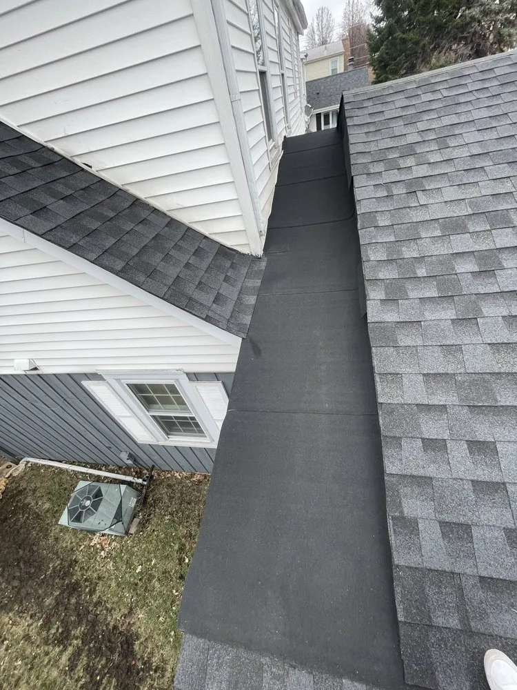 Slide of Doggos Roofing