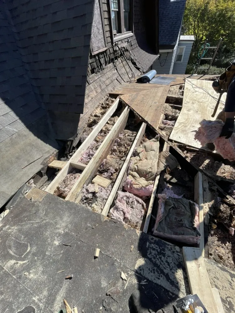 Slide of Doggos Roofing