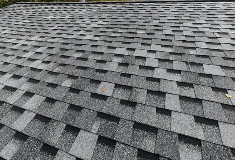 Slide of DokhExterior