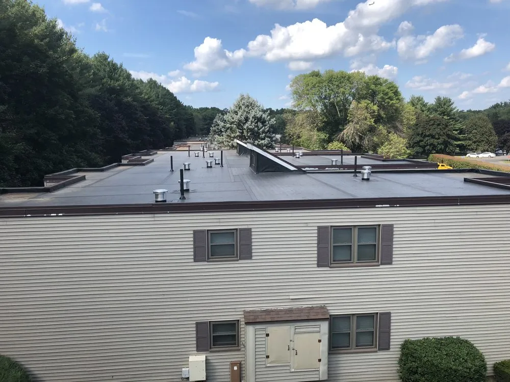 Slide of Dolphin Home Improvement