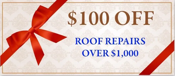 Slide of Dolphin Roofing