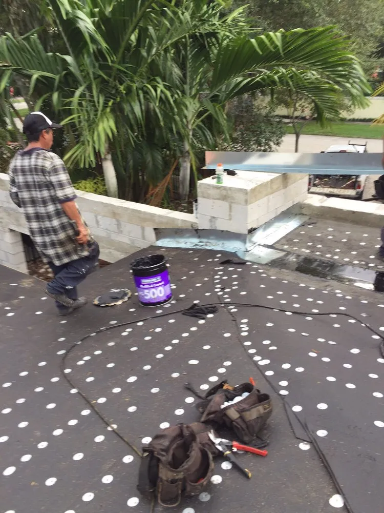 Slide of Dolphin Roofing