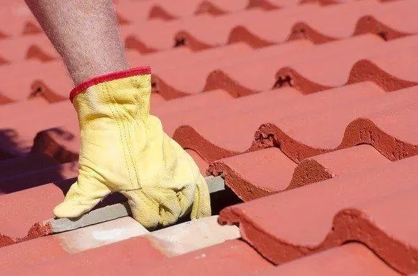 Slide of Dolphin Roofing