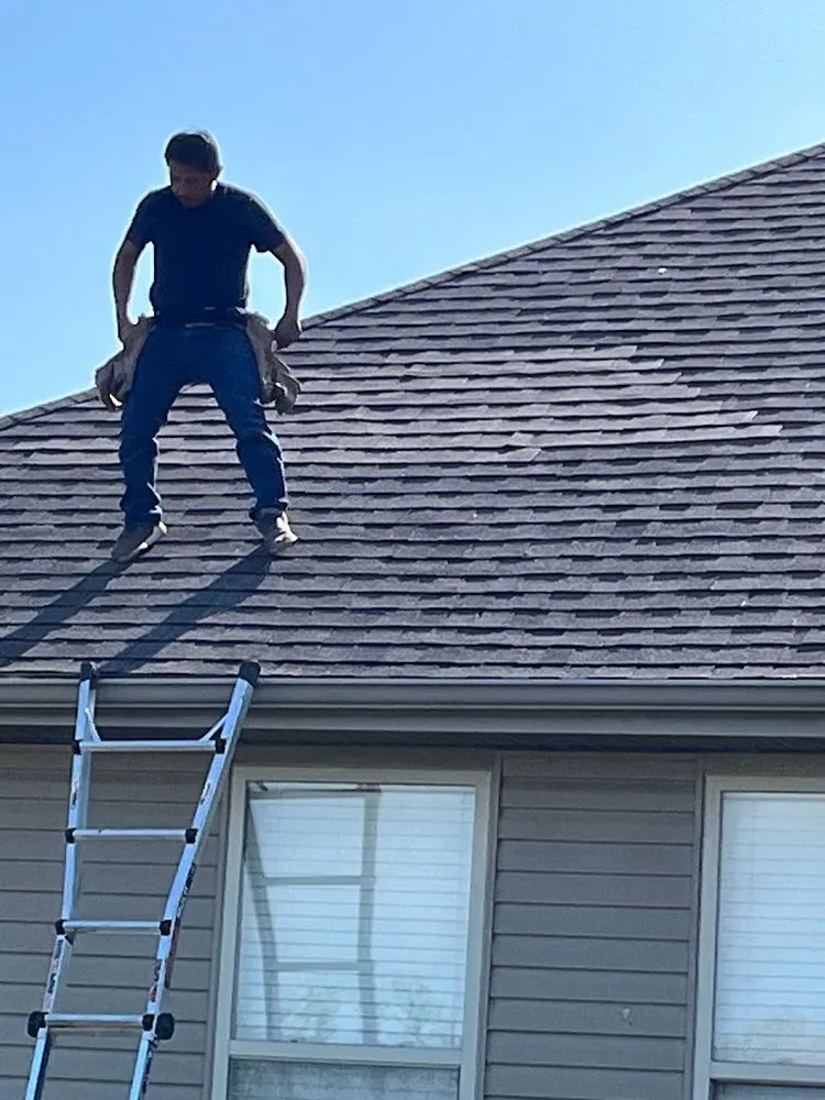 Slide of Domino Roofing