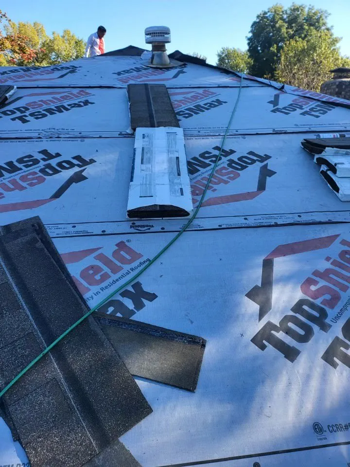 Slide of Domino Roofing