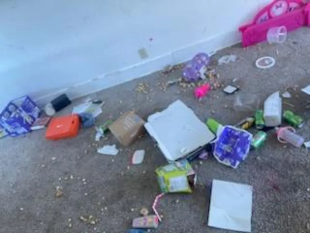 Slide of Domjams Cleaning Services