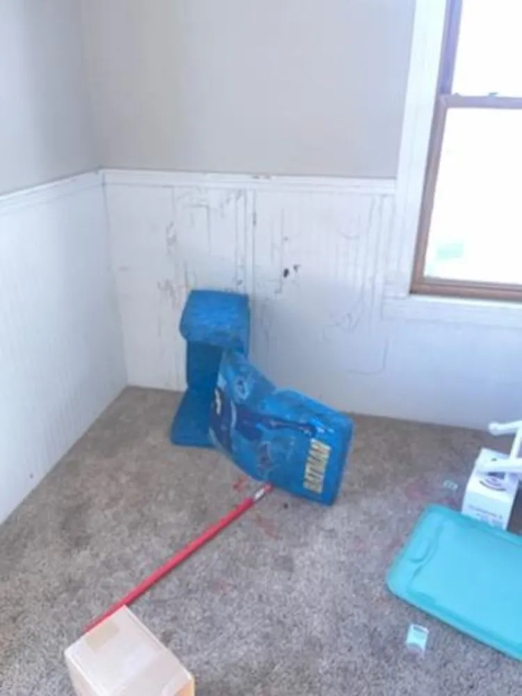 Slide of Domjams Cleaning Services