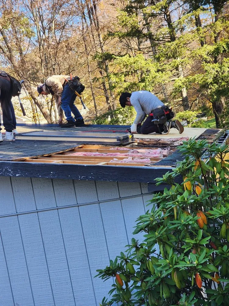 Slide of Domus Construction