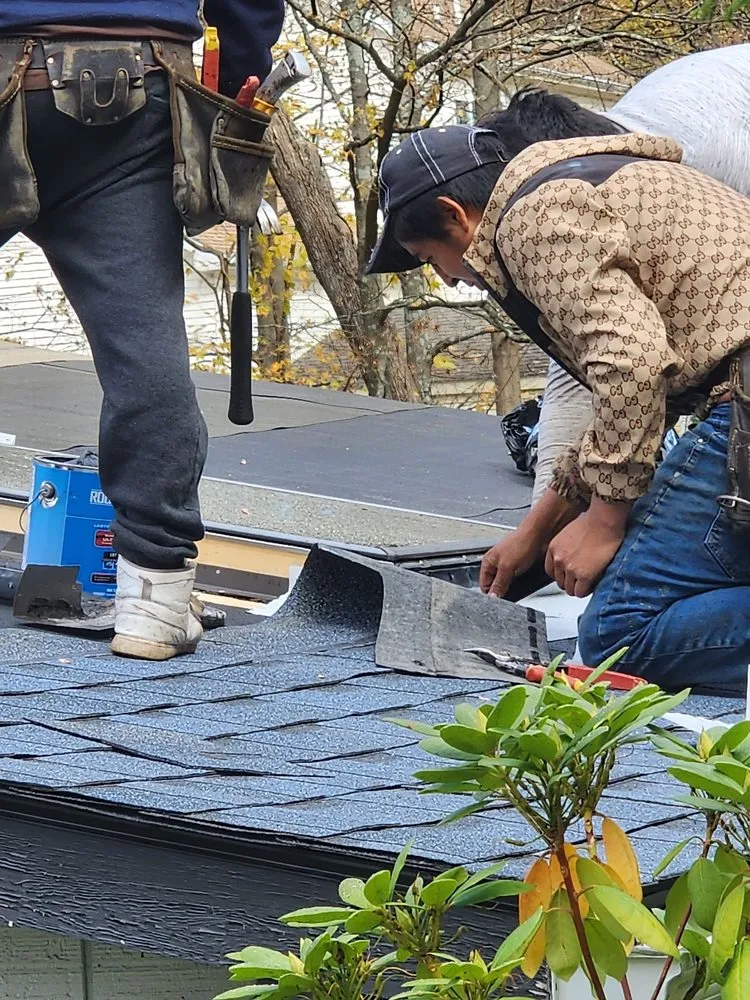 Slide of Domus Construction