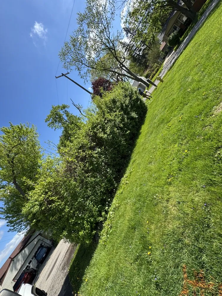 Slide of Domz Construction