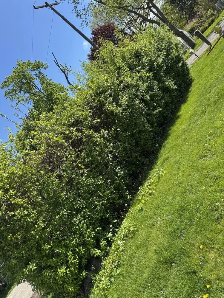 Slide of Domz Construction