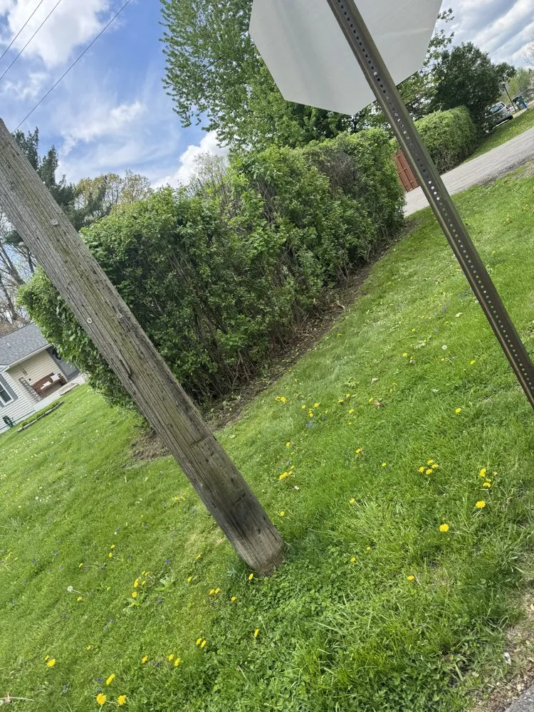 Slide of Domz Construction