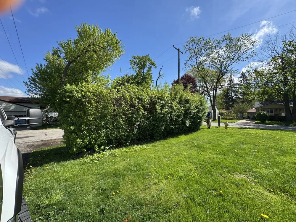 Slide of Domz Construction