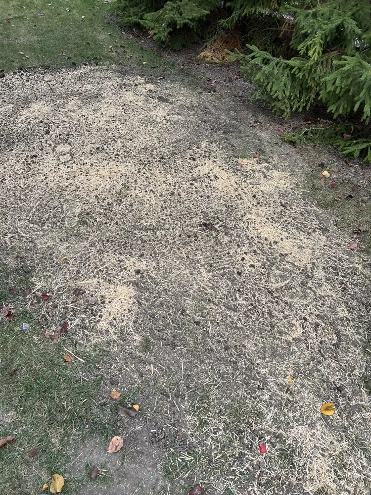 Slide of Domz Construction