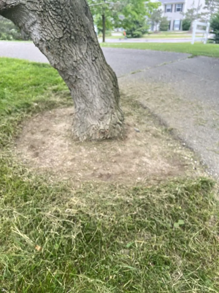 Slide of Domz Construction