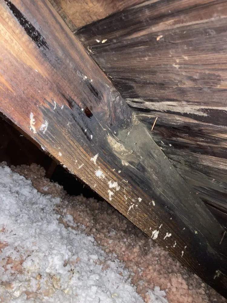 Slide of Don Kennedy Roofing Co