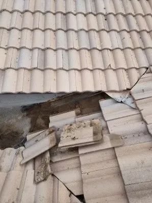 Done Right Roofing