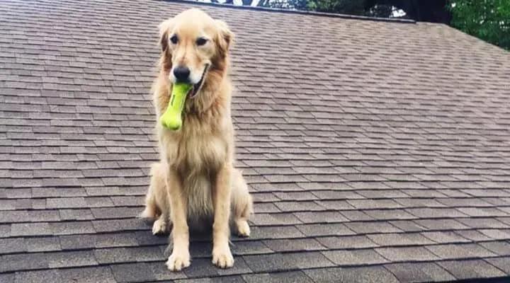 Slide of Donovan Roofing and Construction