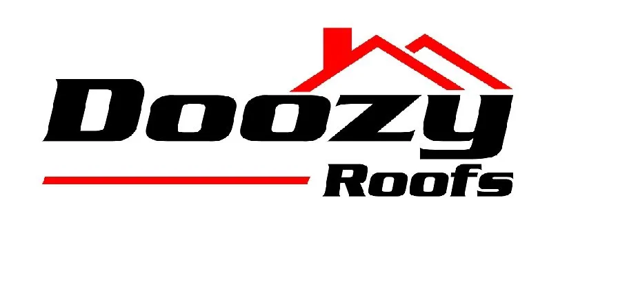 Slide of Doozy Roofs