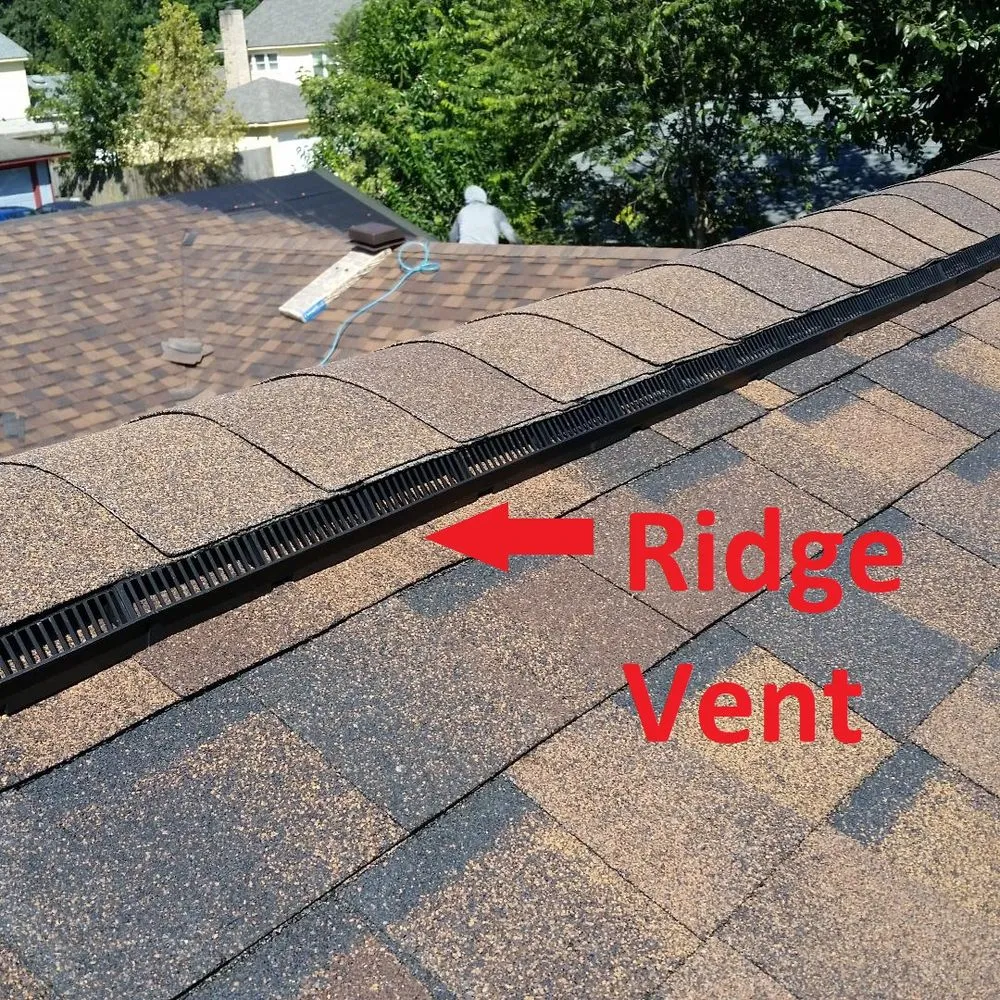 Slide of Doozy Roofs