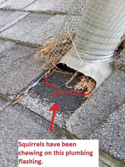 Slide of Doozy Roofs