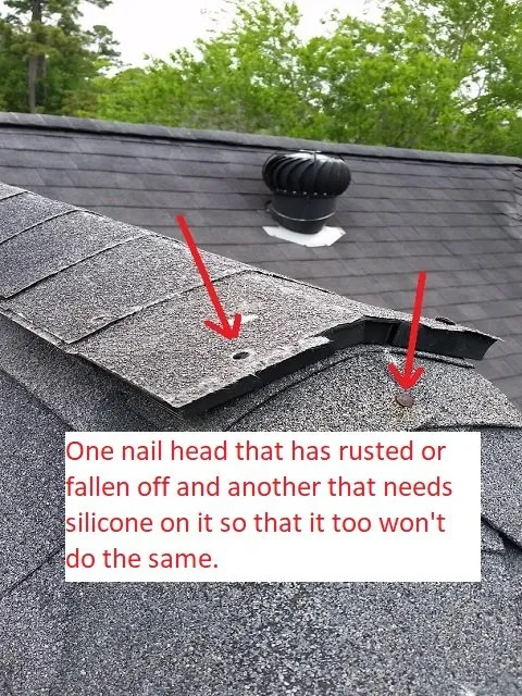 Slide of Doozy Roofs