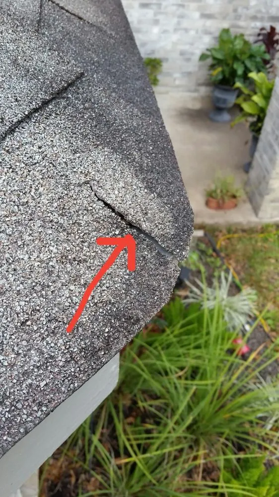 Slide of Doozy Roofs