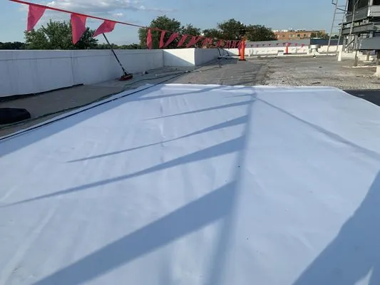 Doradus Roofing Logo