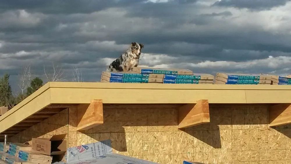 Slide of Dority Roofing