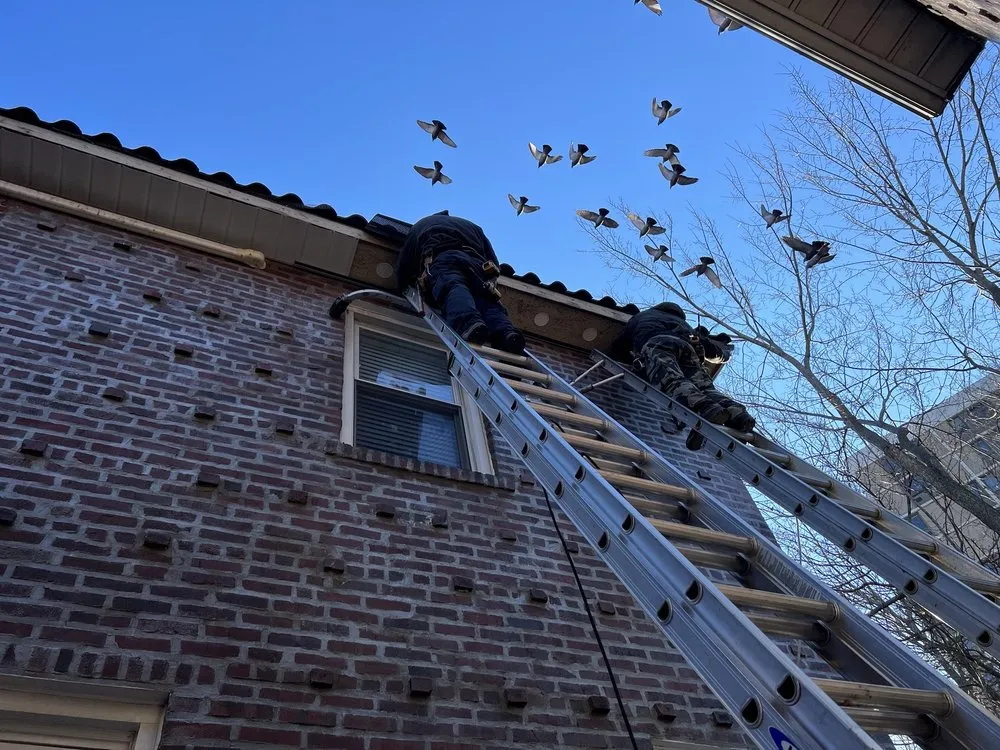 Slide of Doshi's Construction And Roofing