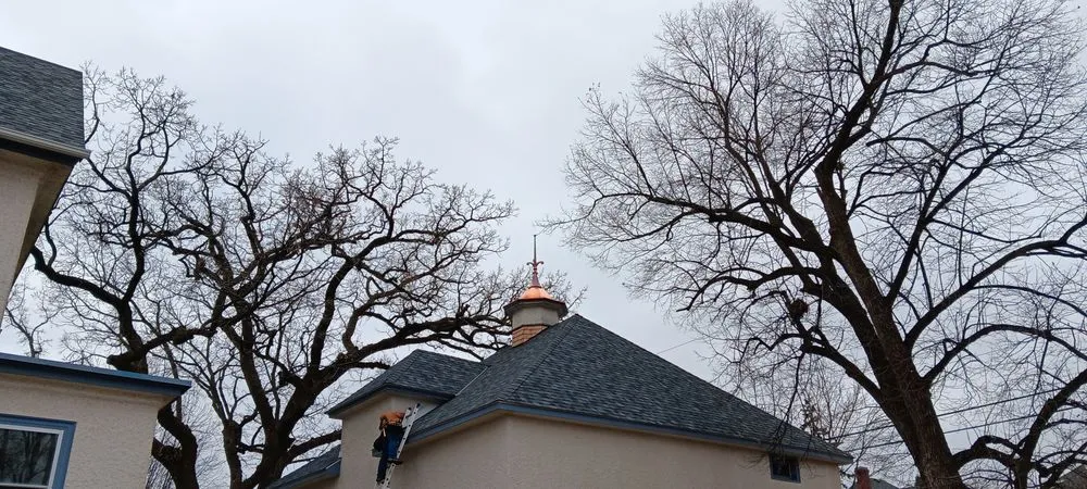 Slide of Double Hammer Holster Construction