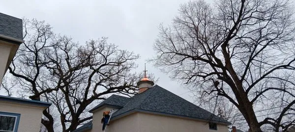 Double Hammer Holster Construction