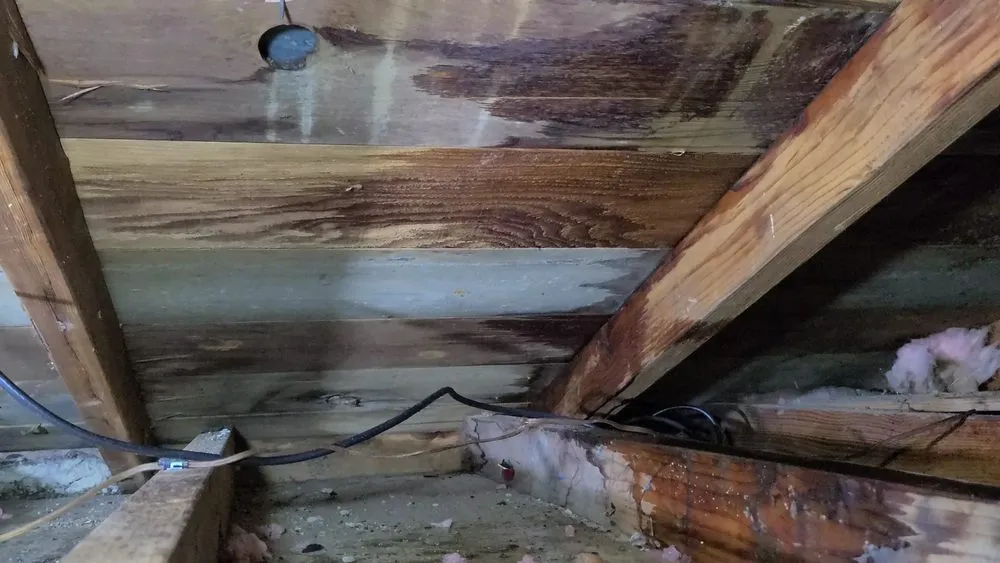 Slide of Doughty Enterprises