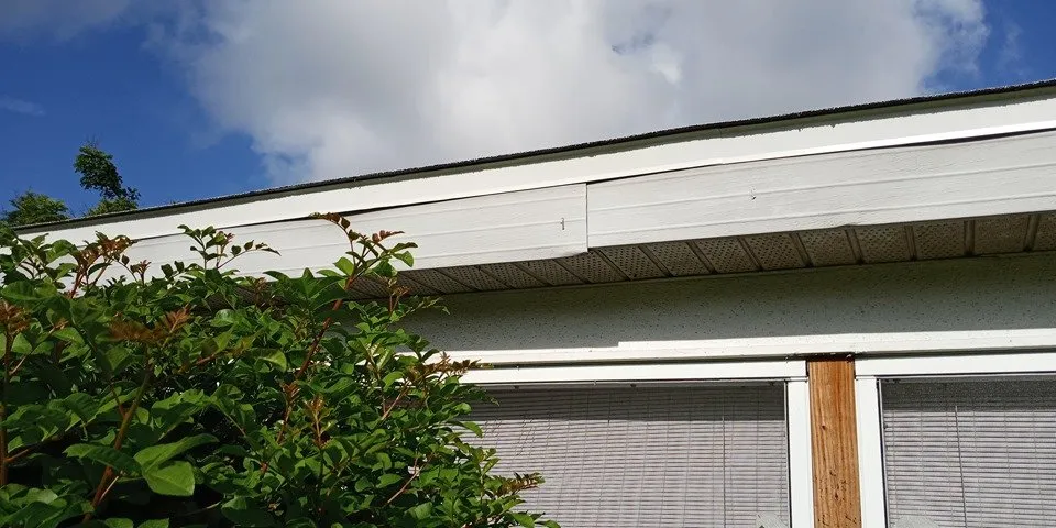 Slide of Douglass Restoration