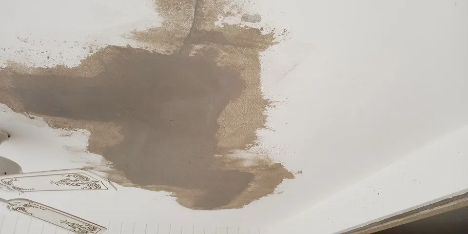 Slide of Douglass Restoration