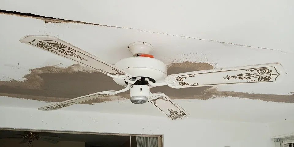 Slide of Douglass Restoration