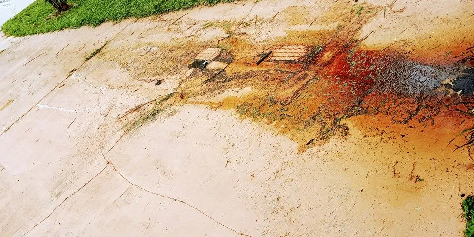 Slide of Douglass Restoration