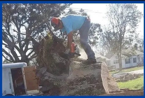Professional shingle roofing service in Hubert, NC - Dougs Disaster Relief