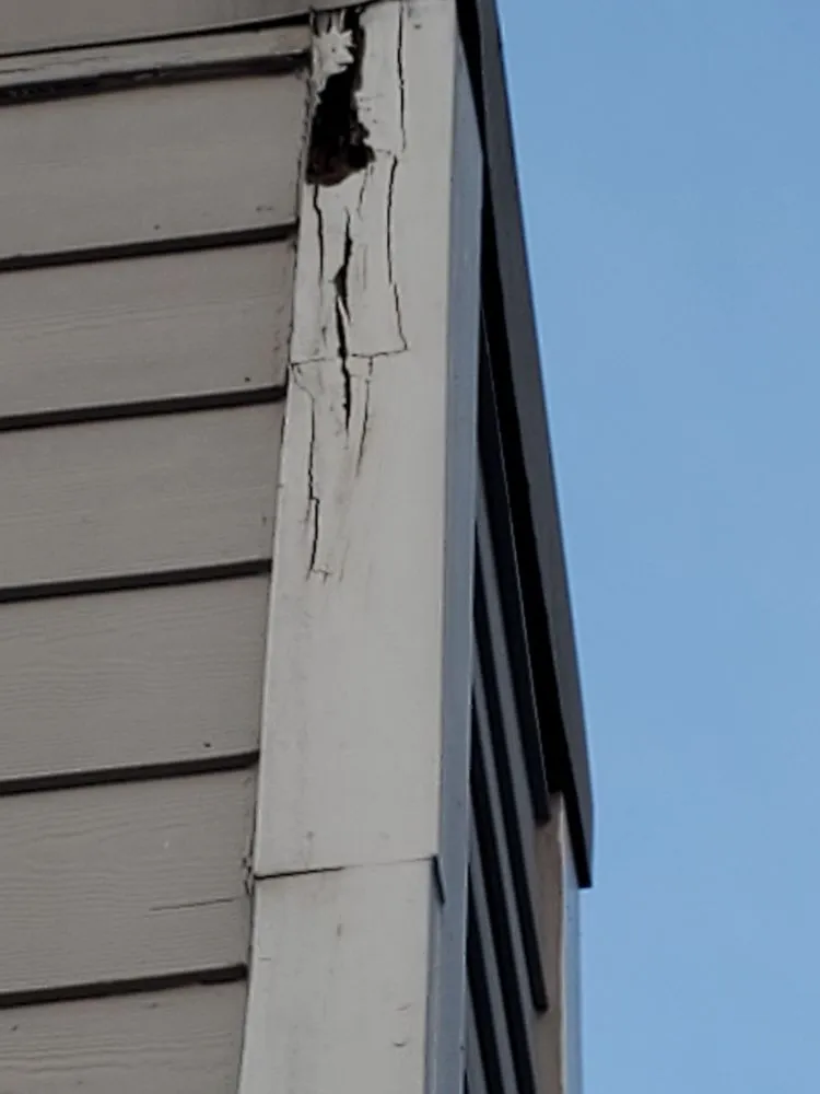 Reliable shingle roofing service for residential properties across Winston, GA - Doug's Revisions