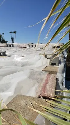 Dove Roofing And Construction