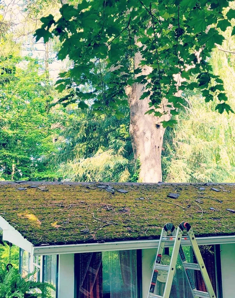 Slide of Dove Springs Roofing