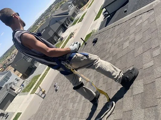 Down & Out Demolition Logo