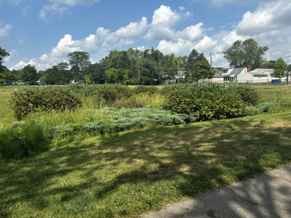 Slide of Downstream Restoration