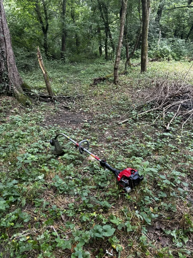 Slide of Downstream Restoration