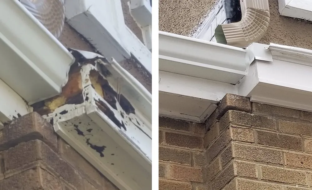 Slide of Downtown Home Remodler & Restorations By Steven