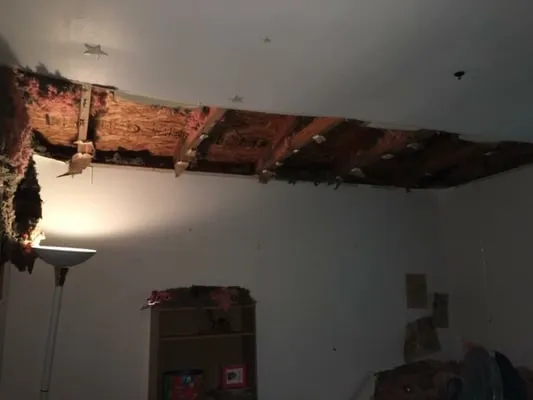 Doyle Exteriors And General Contracting Logo