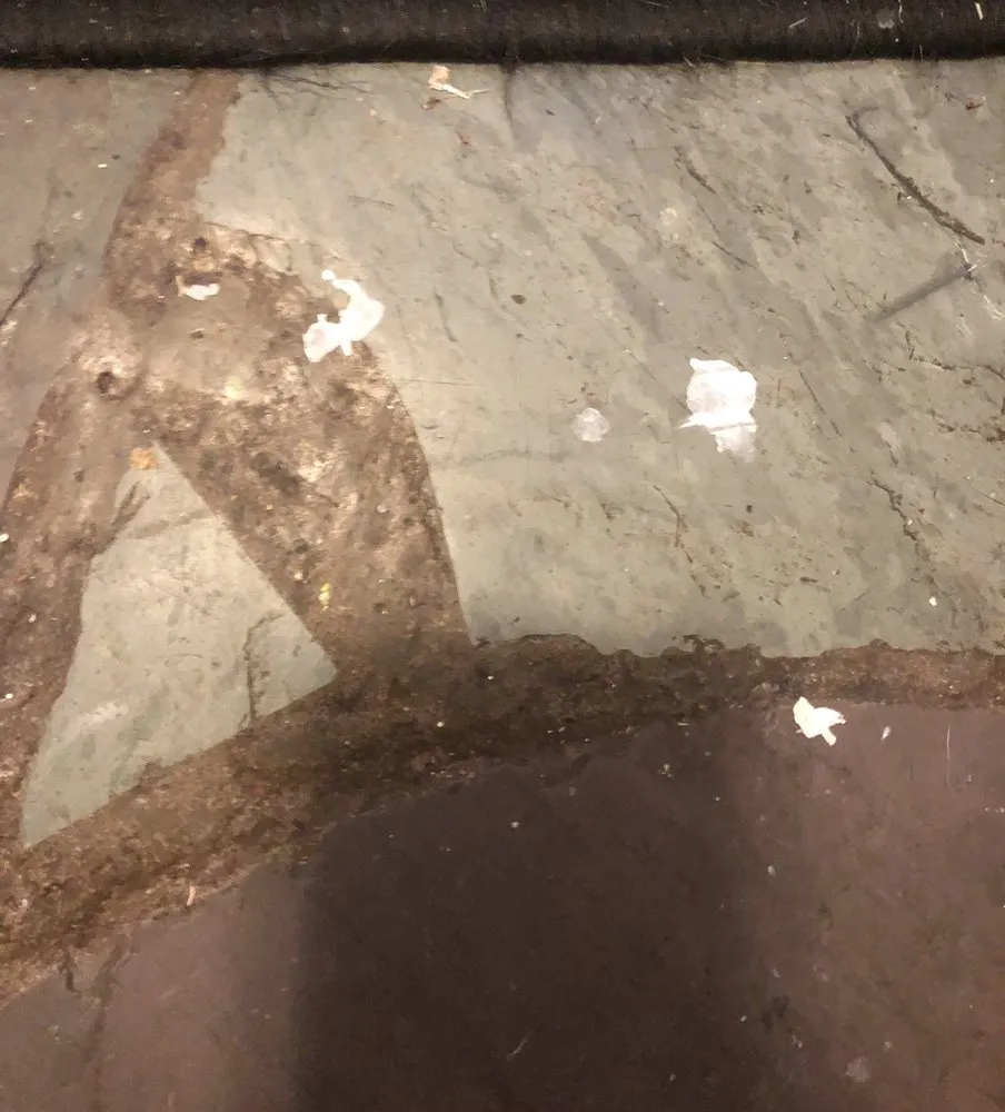 Slide of DP Customs N-Terior & X-Terior