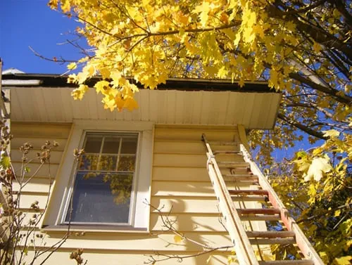 Slide of DP Customs N-Terior & X-Terior