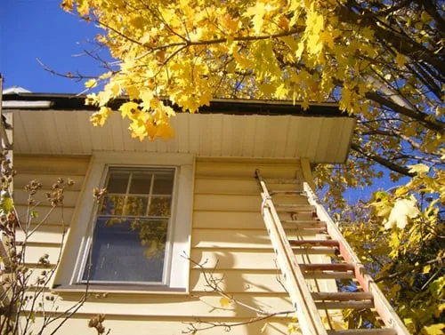 Slide of DP Customs N-Terior & X-Terior