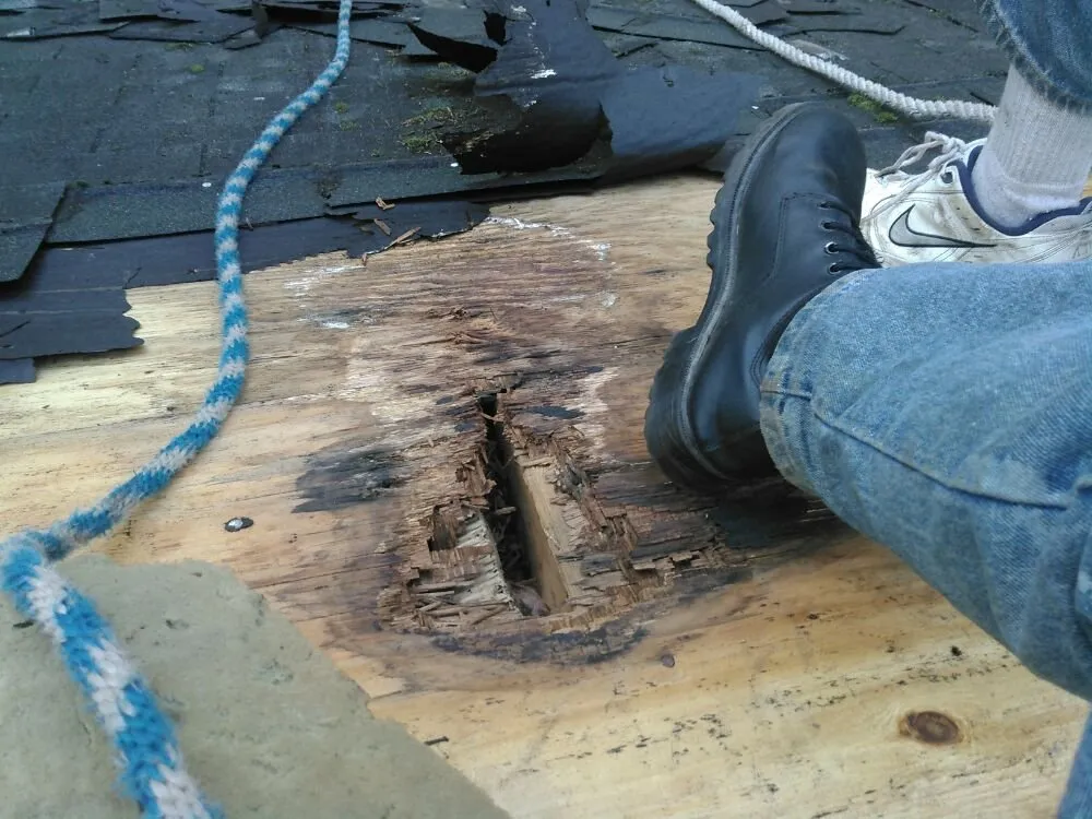 Professional storm damage roof repair for homes in Castalia, NC by DPD Roofing and Siding